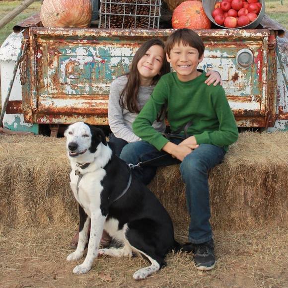 Meet your Posher, Nicole - Picture 1 of 1